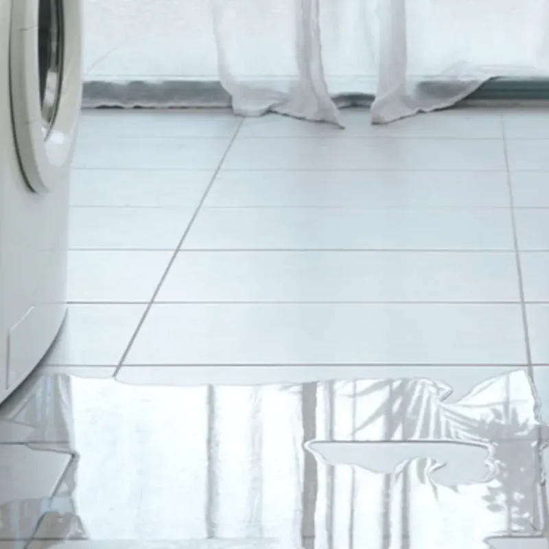 Appliance Leak Cleanup in Benton County, MO