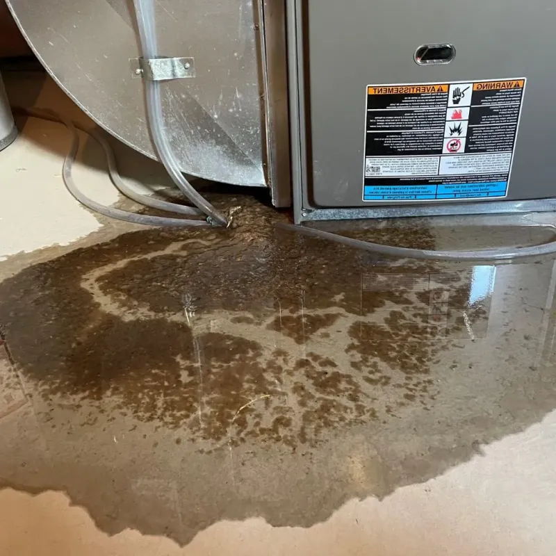 Pipe Burst and Leak Restoration in Benton County, MO
