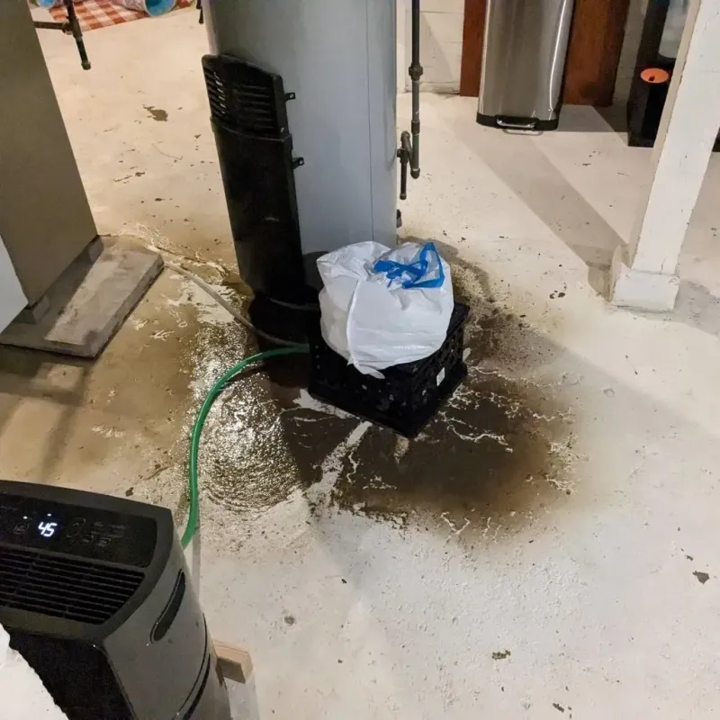 Sewage Backup Cleanup Service in Benton County, MO